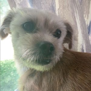 Meet your Posher, Abigail